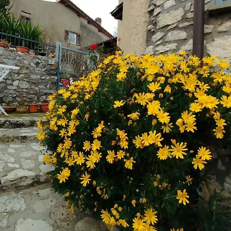 Apartment La Casetta Di Joanna
